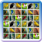 100 Cantos Dos Passaros ícone