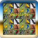 101+ Passaros Brasileiros APK