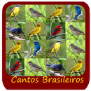 Brasileiros Bixar Canto De Passaros APK