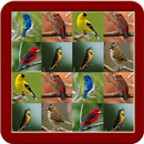 75+ Pajaros Cantando APK