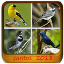 Todos Canto Passaros Brasil APK