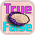 True or False icône