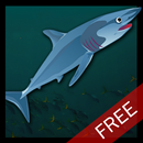 Ocean Animal Games APK