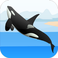 Orca Games