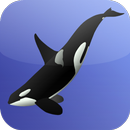 Killer Whale Games APK
