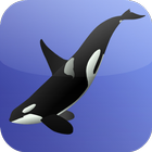 Killer Whale Games icône