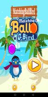 BirdBall poster