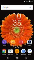 Kwiatowy Motyw Gerbera dla Xperia 截图 2