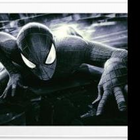 spiderman theme icon
