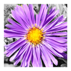 PhotoX APK
