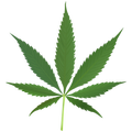 My Weed Man