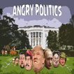 Angry Politics