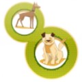 happy paws android