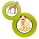 happy paws android APK