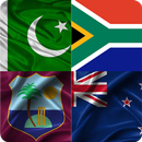 Guess country flag (world hardest game) APK