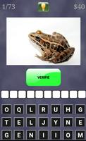 Quiz Animaux ภาพหน้าจอ 1