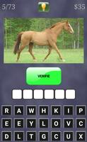 Quiz Animaux ภาพหน้าจอ 2