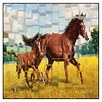horses fun jigsaw puzzles 2017 APK
