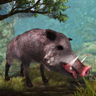 Wild Boar Simulator 3D icon