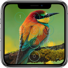Bird Lock Screen icône