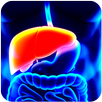 Have you got hepatitis? APK