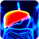 Have you got hepatitis? APK