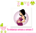 Embarazo Semana a Semana