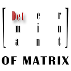 Determinant of matrix. icône