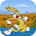 Bugs Bunny Run