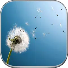 Wallpapers for Sony Xperia Z5,