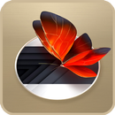 HD ZTE Z17 Stock Wallpaper APK