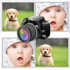 Your Pictures Memory Game icône