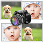 Your Pictures Memory Game 圖標