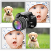 Your Pictures Memory Game