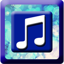 3D Music Player Pro APK