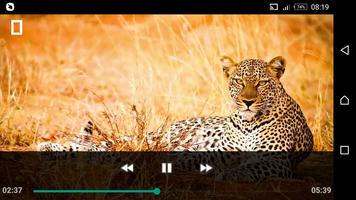 Formats Video Player スクリーンショット 2