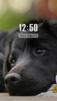 ZUI Locker Theme - Dear Friend Plakat