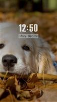 ZUI Locker Theme - Dear Friend скриншот 2