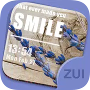 ZUI Locker Theme - Simple Life
