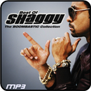 Shaggy All Songs APK