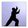 The Qigong Workout