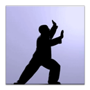 The Qigong Workout APK
