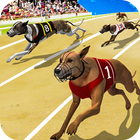 Dog Crazy Race Simulator simgesi