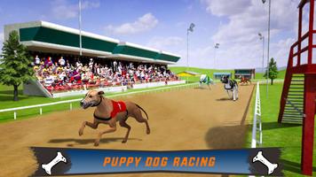 برنامه‌نما Dog Crazy Race Simulator عکس از صفحه