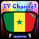 Info TV Channel Senegal HD APK