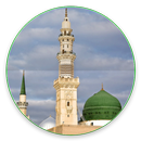 Kitab Maulid Adhiya Ulami APK