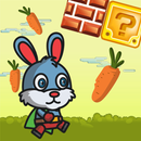 Fluffy Bunny Carrot Running APK