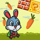 Fluffy Bunny Carrot Running أيقونة