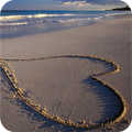 Cool Beach