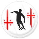 Georgia Football League - Erovnuli Liga APK